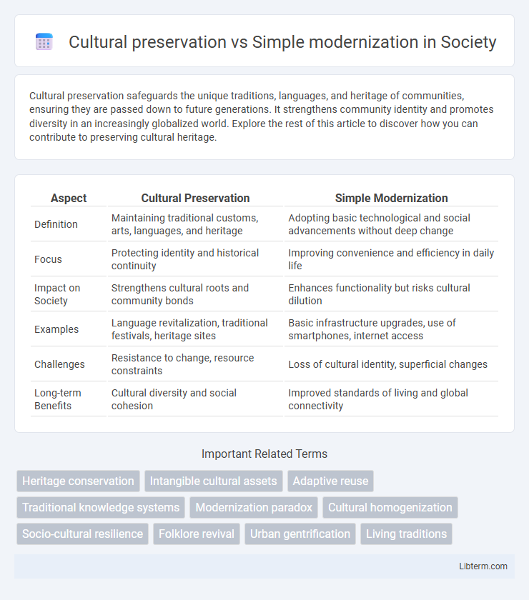 Simple modernization vs Cultural preservation in Society - What is The Difference?
