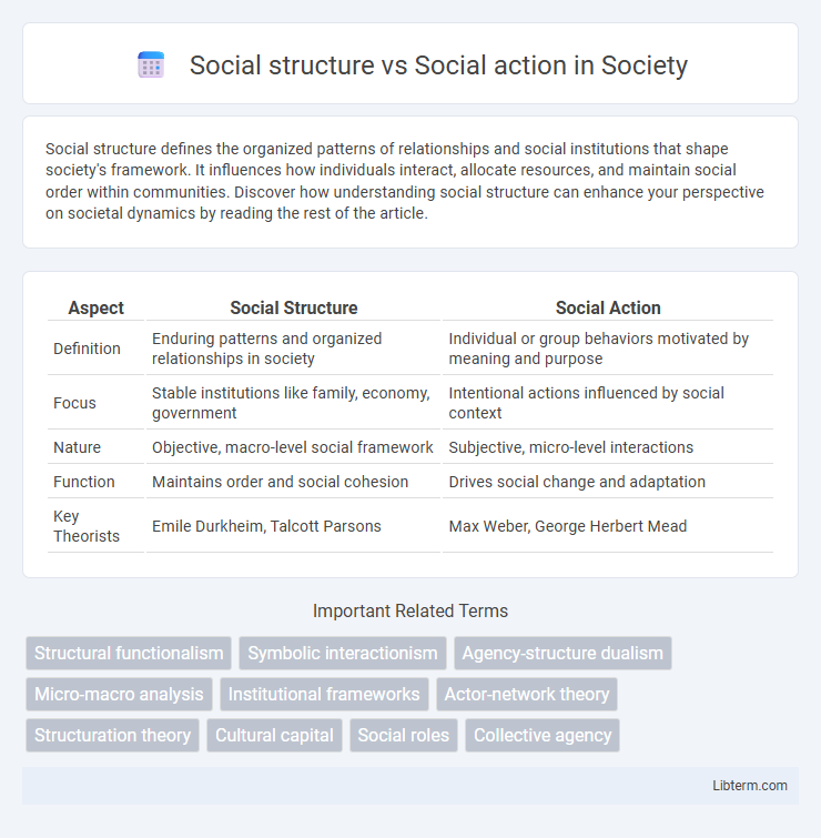 Social action vs Social structure in Society - What is The Difference?