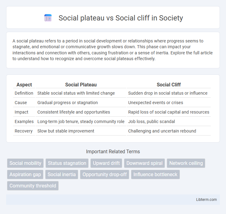 Social cliff vs Social plateau in Society - What is The Difference?