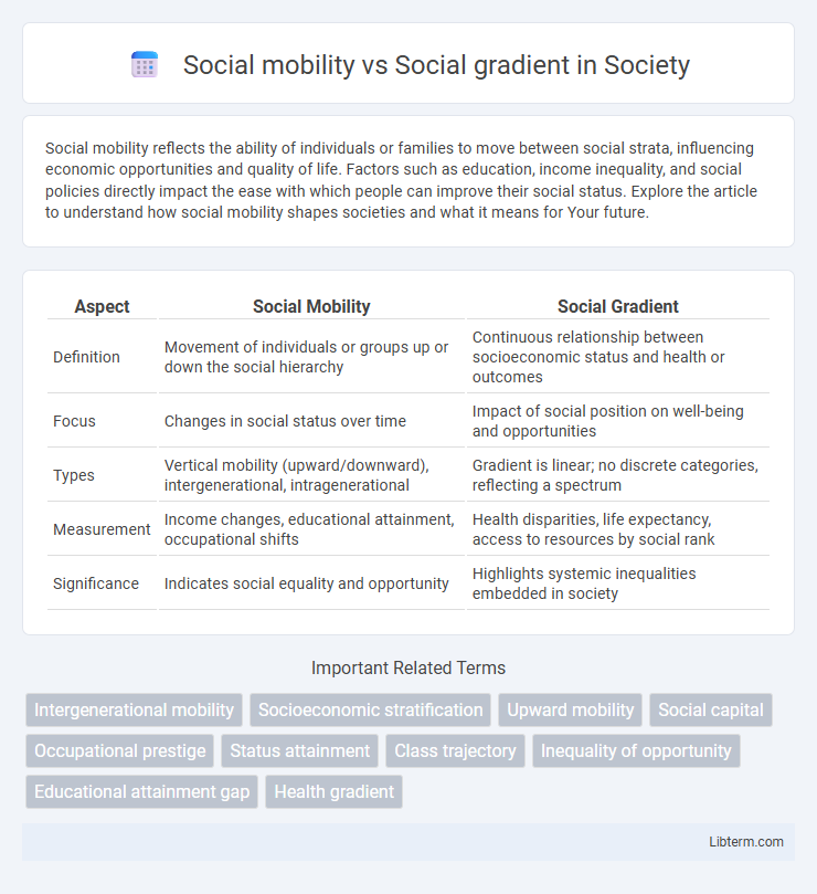 Social gradient vs Social mobility in Society - What is The Difference?