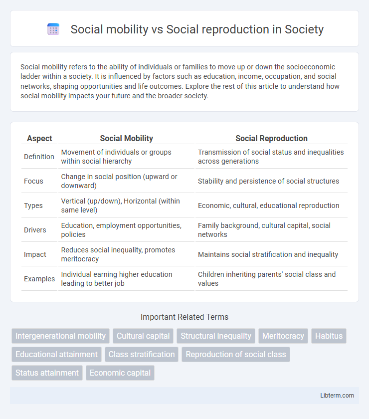 Social reproduction vs Social mobility in Society - What is The Difference?