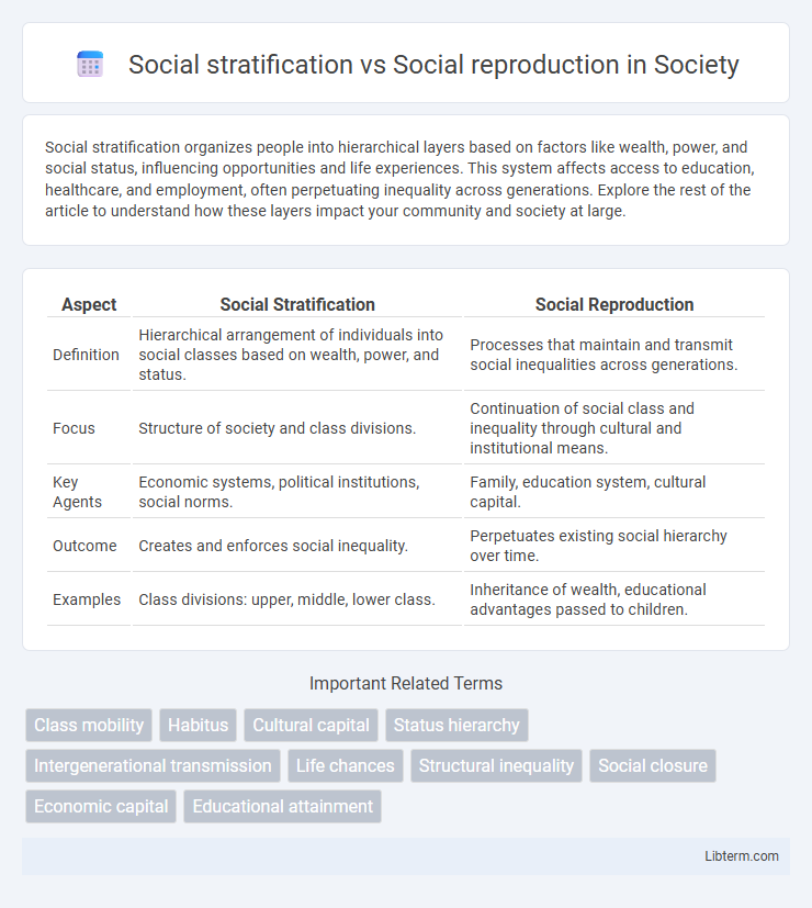 Social reproduction vs Social stratification in Society - What is The Difference?