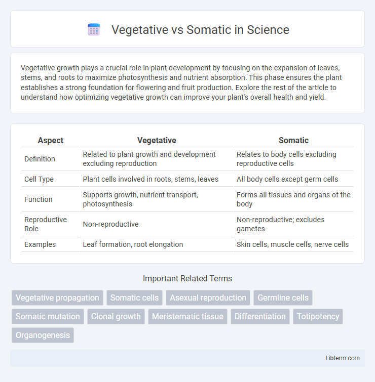 Somatic vs Vegetative in Science - What is The Difference?