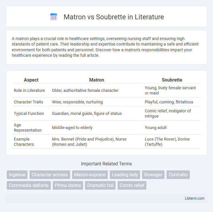 Soubrette vs Matron in Literature - What is The Difference?