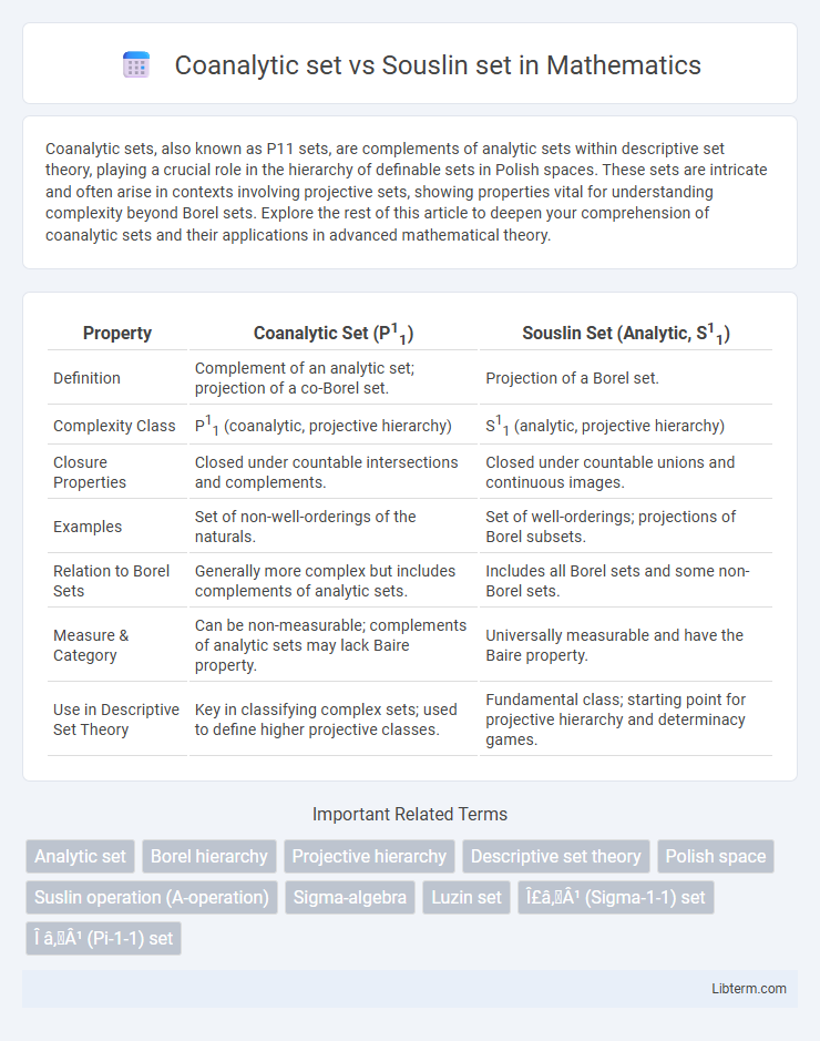 Souslin set vs Coanalytic set in Mathematics - What is The Difference?