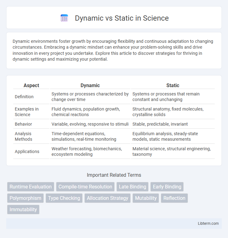 Static vs Dynamic in Science - What is The Difference?