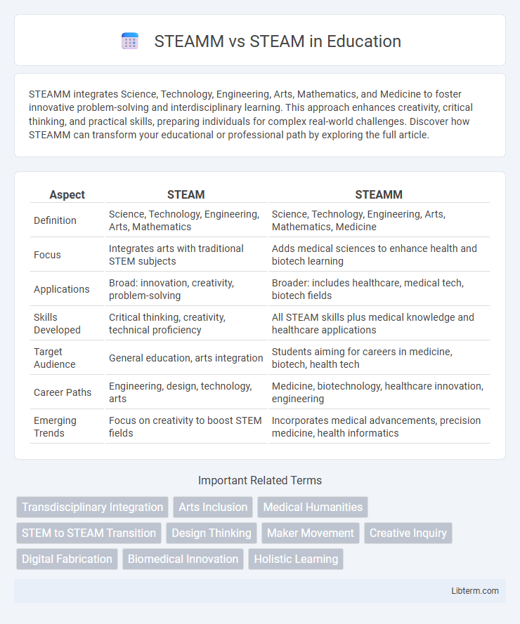 STEAM vs STEAMM in Education - What is The Difference?