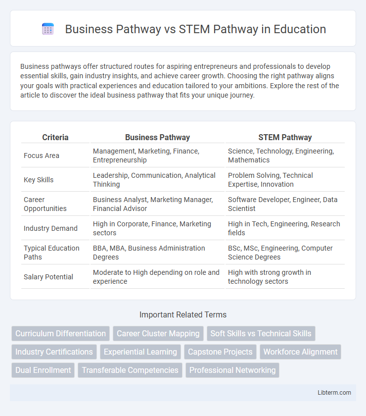 STEM Pathway vs Business Pathway in Education - What is The Difference?