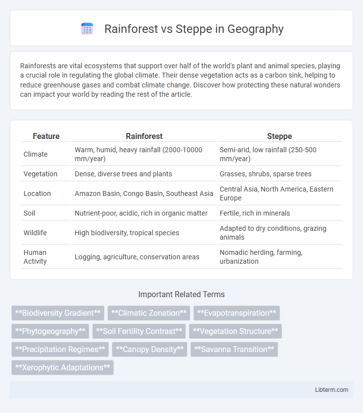 Steppe vs Rainforest in Geography - What is The Difference?