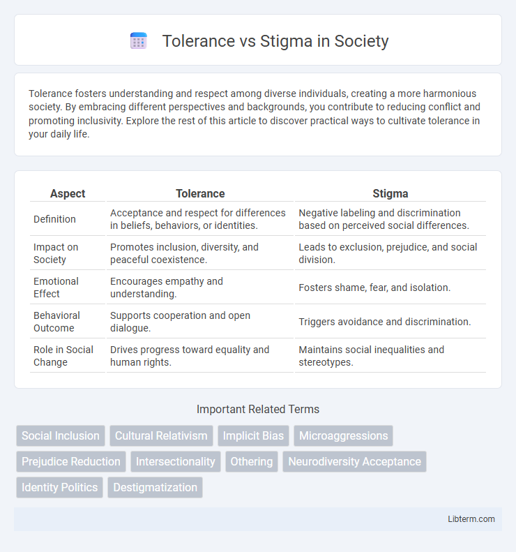 Stigma vs Tolerance in Society - What is The Difference?