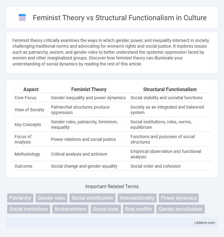 Structural Functionalism vs Feminist Theory in Culture - What is The Difference?
