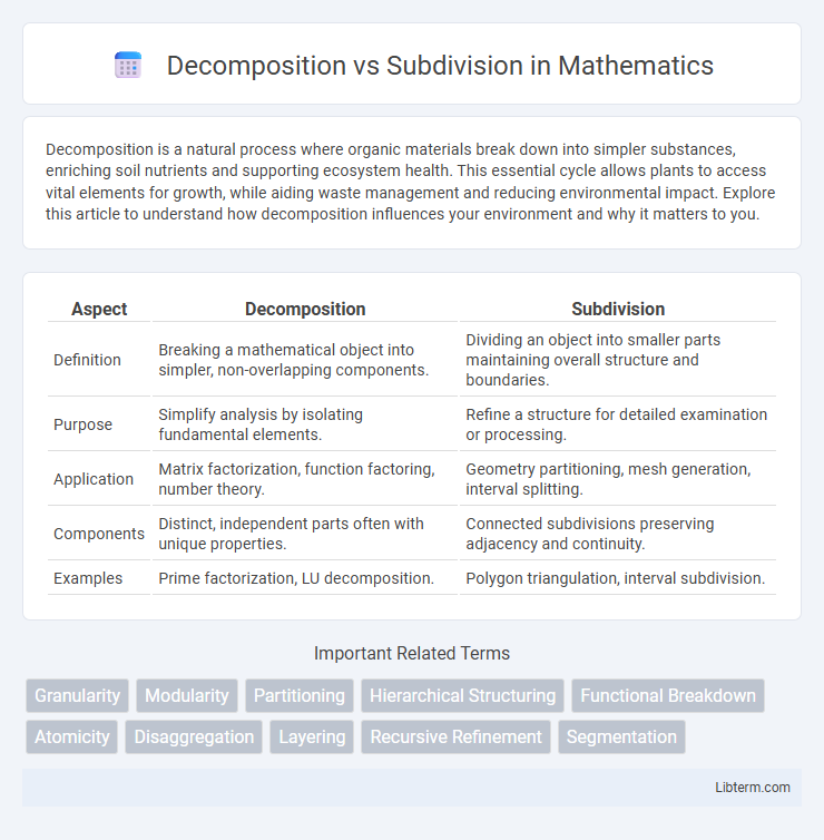 Subdivision vs Decomposition in Mathematics - What is The Difference?