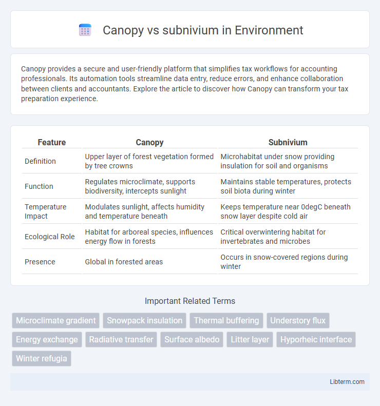 subnivium vs Canopy in Environment - What is The Difference?