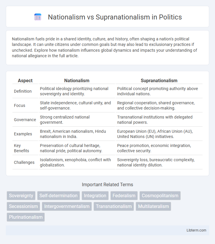 Supranationalism vs Nationalism in Politics - What is The Difference?