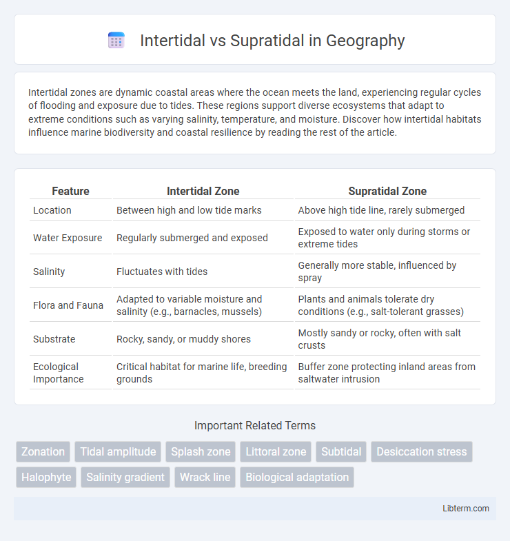 Supratidal vs Intertidal in Geography - What is The Difference?