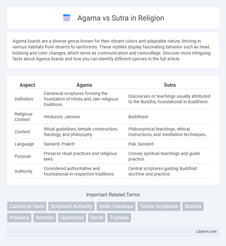 Sutra vs Agama in Religion - What is The Difference?