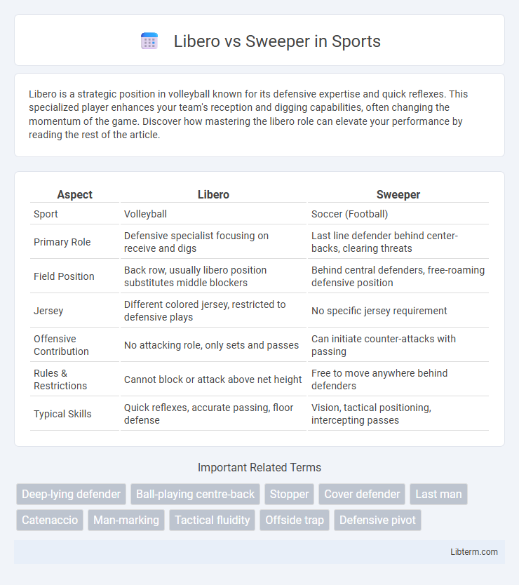 Sweeper vs Libero in Sports - What is The Difference?