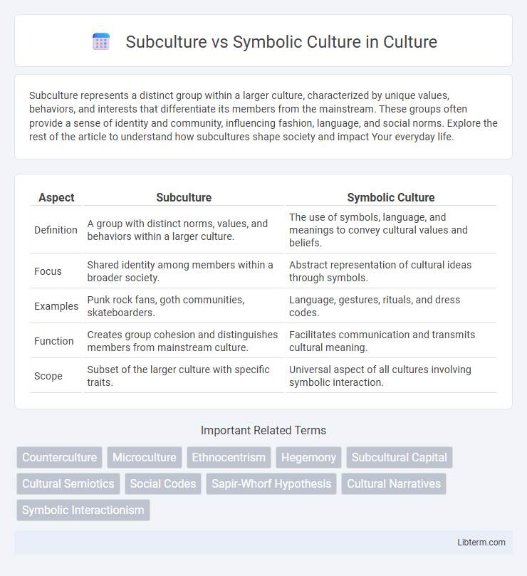 Symbolic Culture vs Subculture in Culture - What is The Difference?