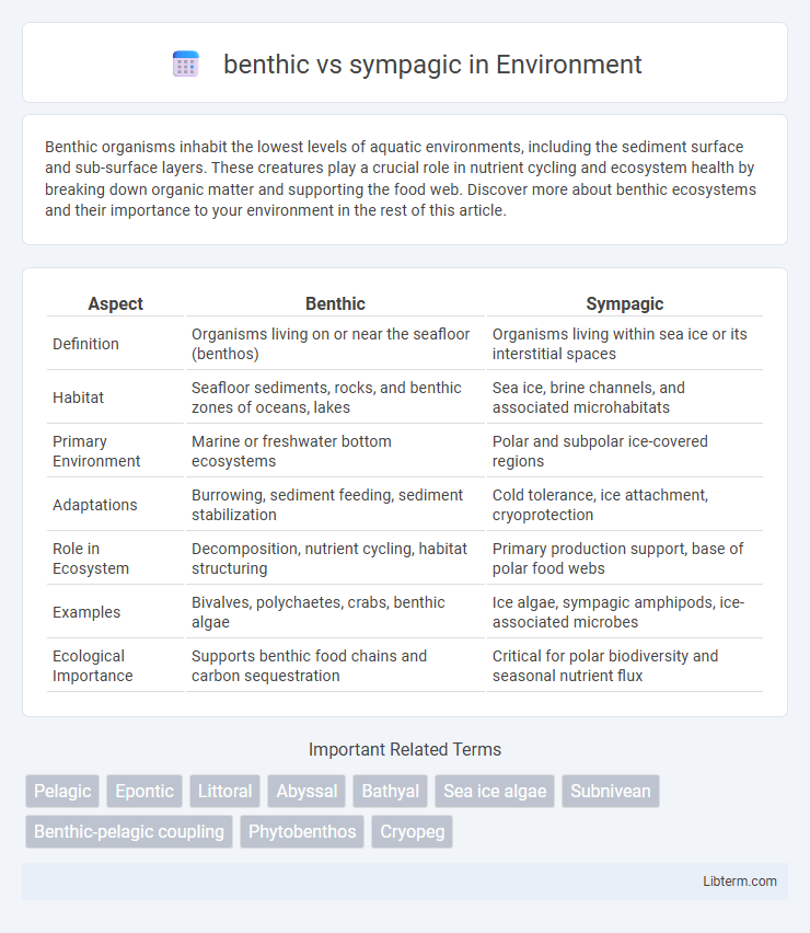 sympagic vs benthic in Environment - What is The Difference?