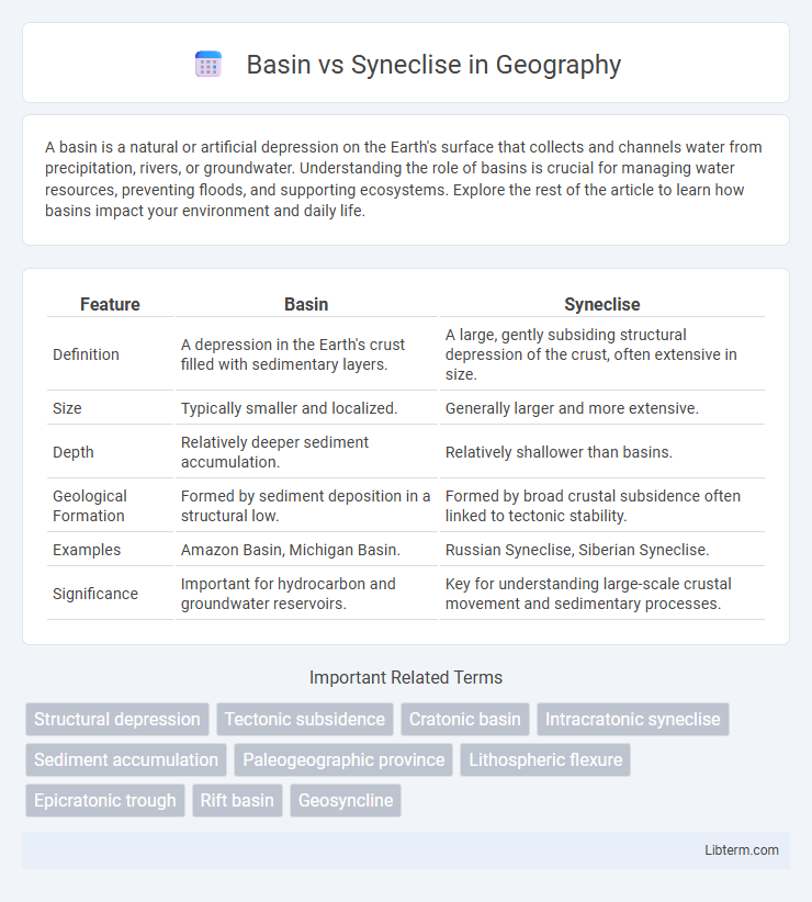 Syneclise vs Basin in Geography - What is The Difference?