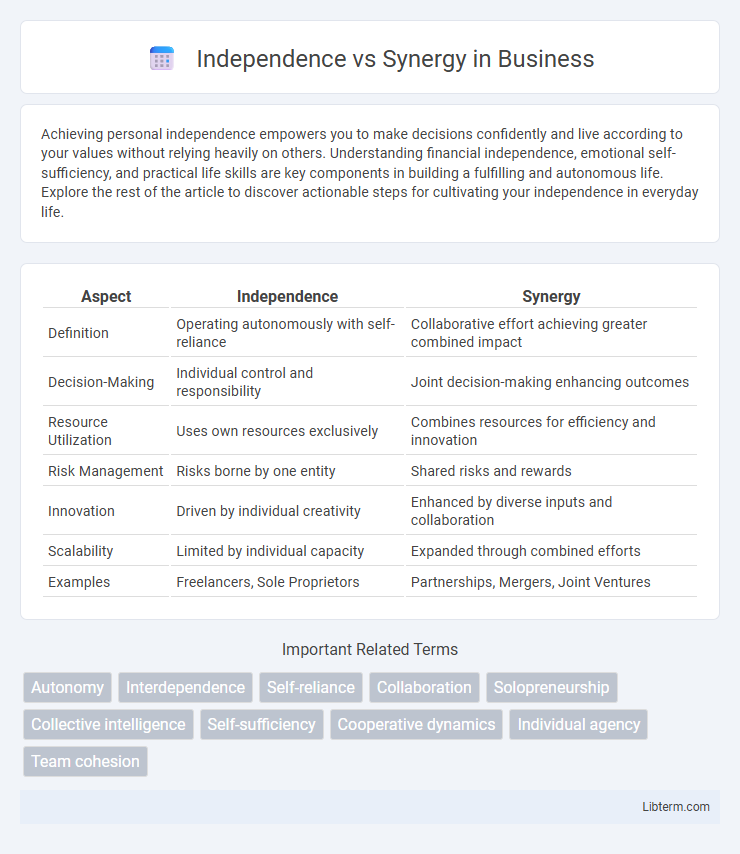 Synergy vs Independence in Business - What is The Difference?