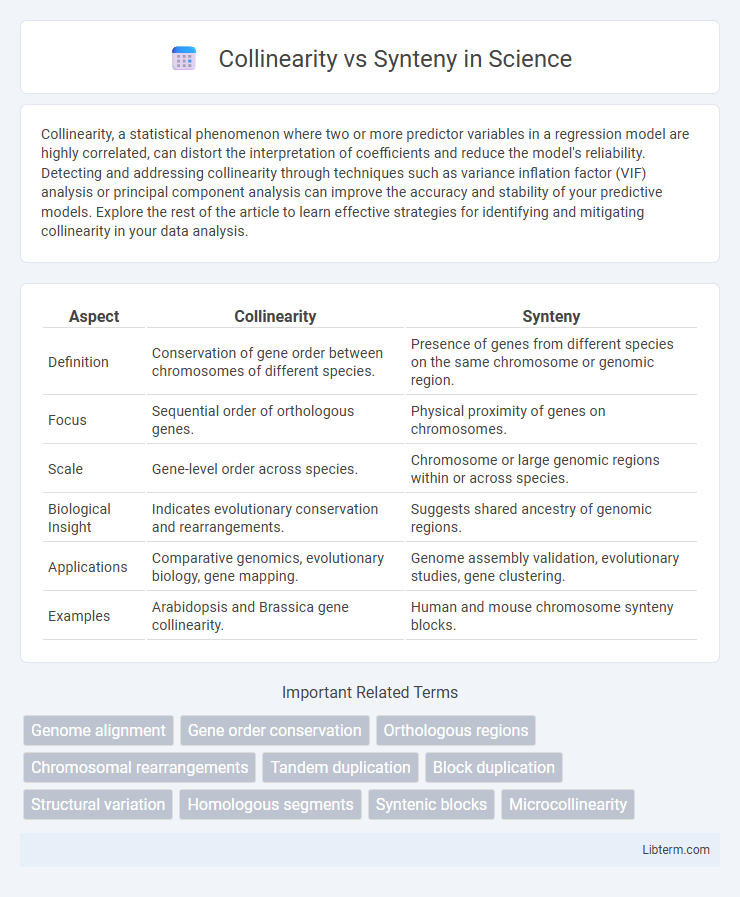Synteny vs Collinearity in Science - What is The Difference?