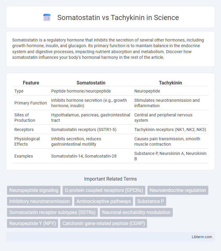 Tachykinin vs Somatostatin in Science - What is The Difference?