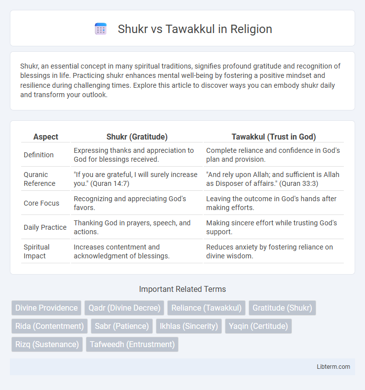 Tawakkul vs Shukr in Religion - What is The Difference?