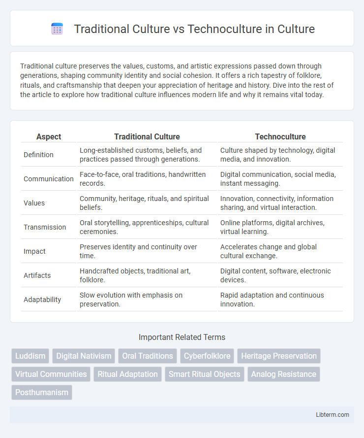 Technoculture vs Traditional Culture in Culture - What is The Difference?