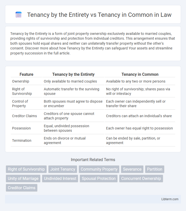 Tenancy in Common vs Tenancy by the Entirety in Law - What is The Difference?