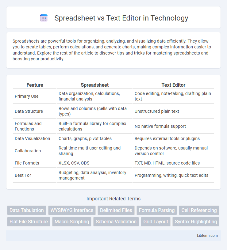Text Editor vs Spreadsheet in Technology - What is The Difference?