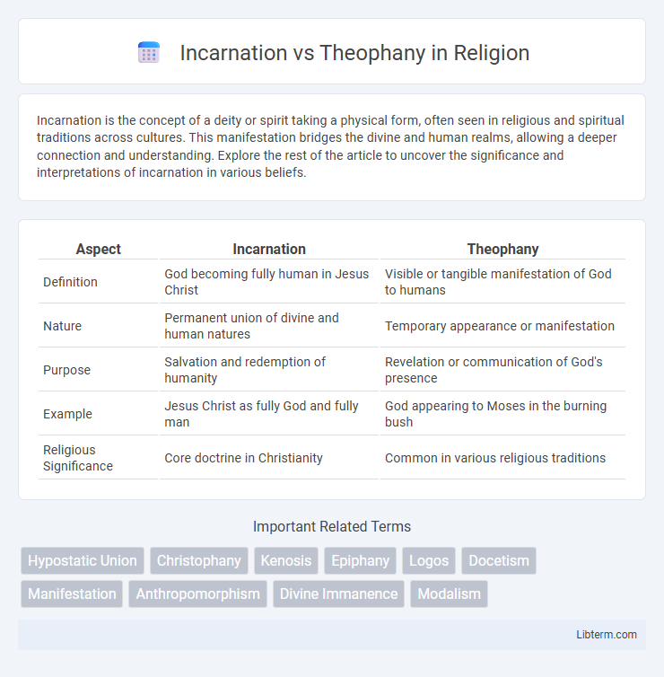 Theophany vs Incarnation in Religion - What is The Difference?