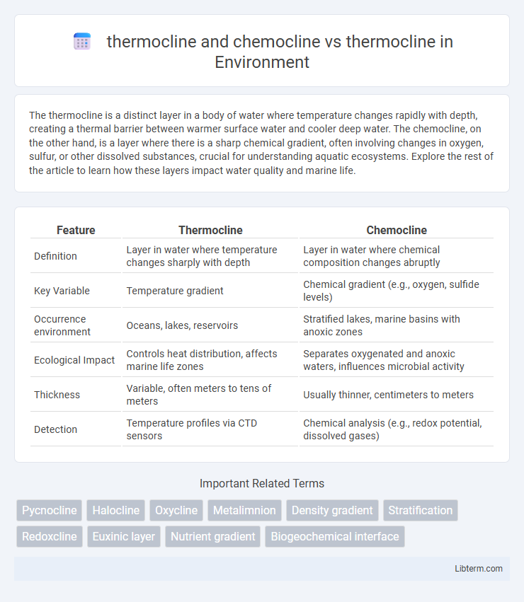 thermocline vs thermocline and chemocline in Environment - What is The Difference?