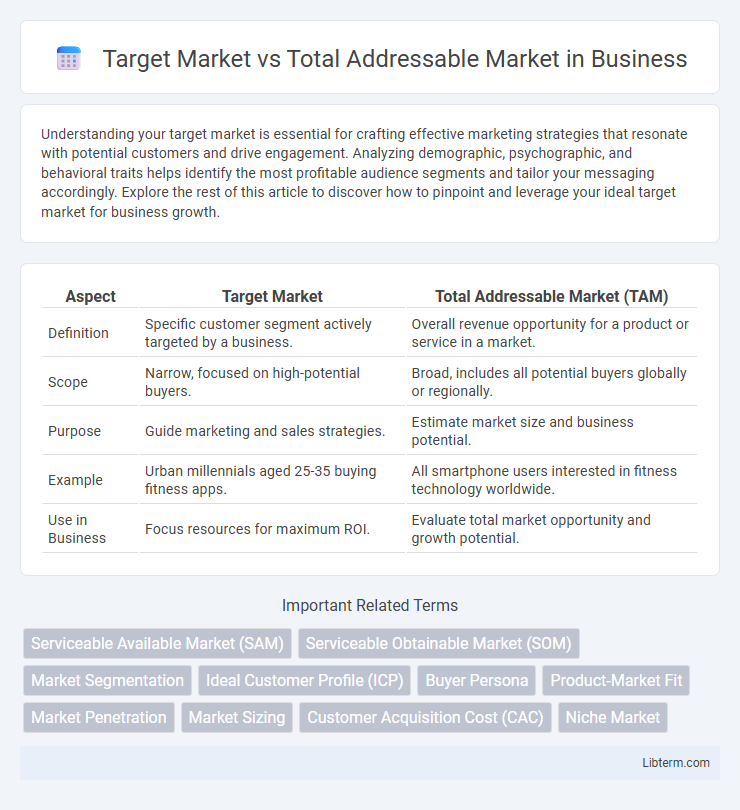 Total Addressable Market vs Target Market in Business - What is The Difference?