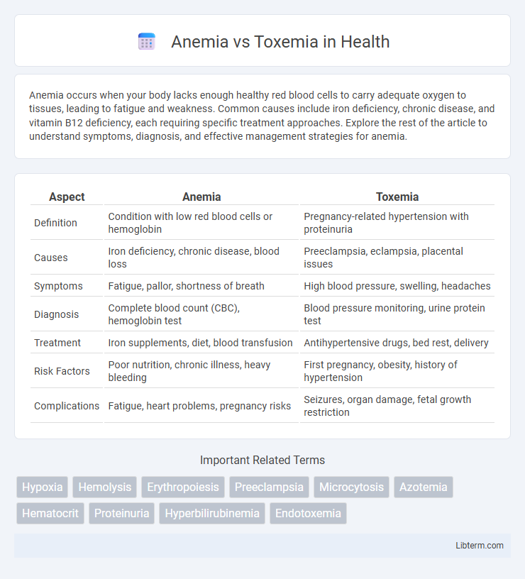Toxemia vs Anemia in Health - What is The Difference?
