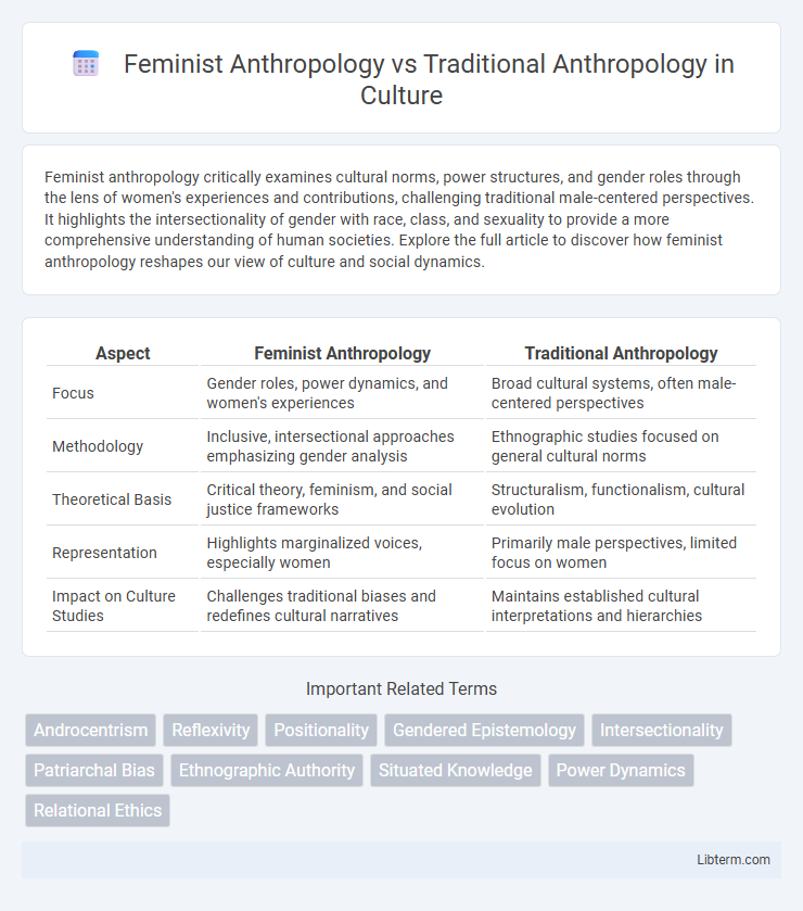 Traditional Anthropology vs Feminist Anthropology in Culture - What is The Difference?