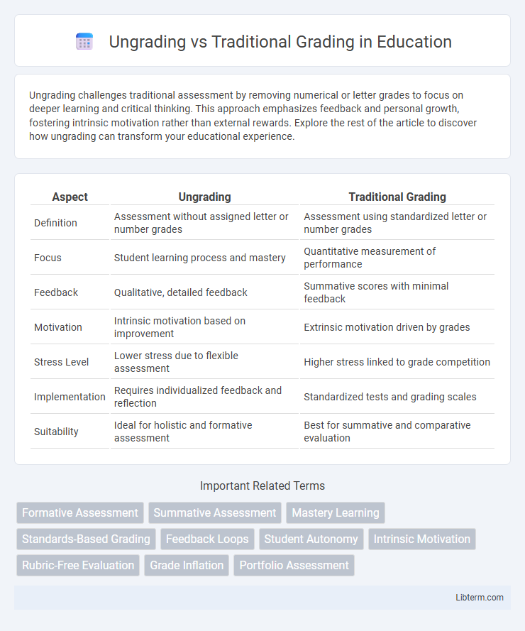 Traditional Grading vs Ungrading in Education - What is The Difference?