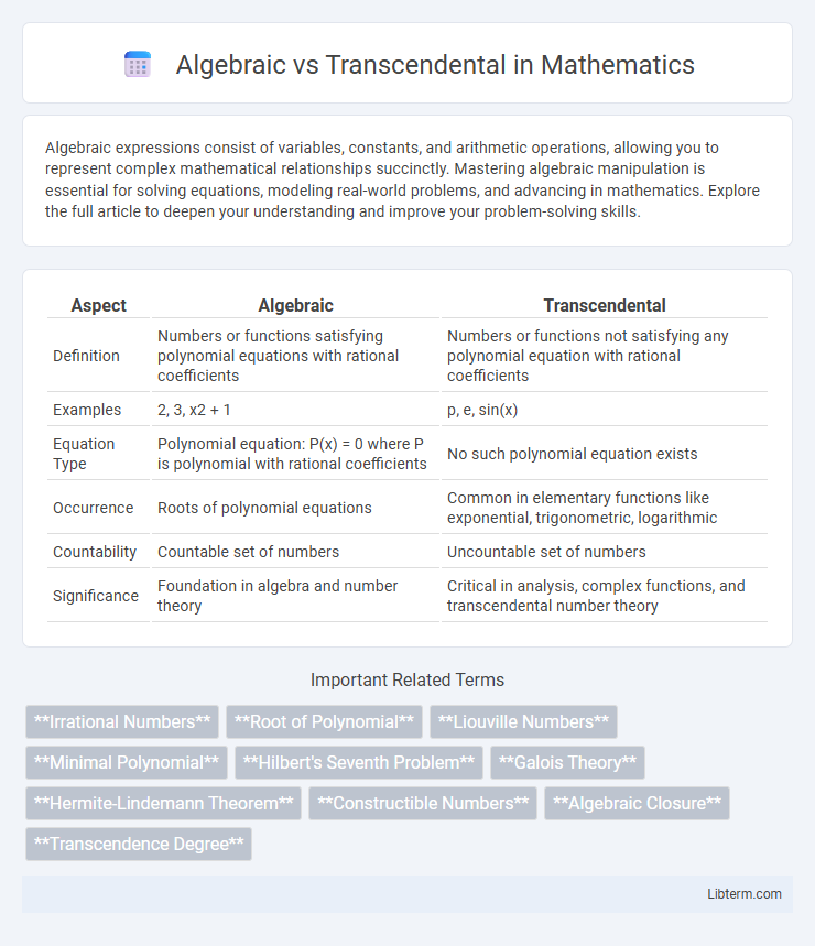 Transcendental vs Algebraic in Mathematics - What is The Difference?