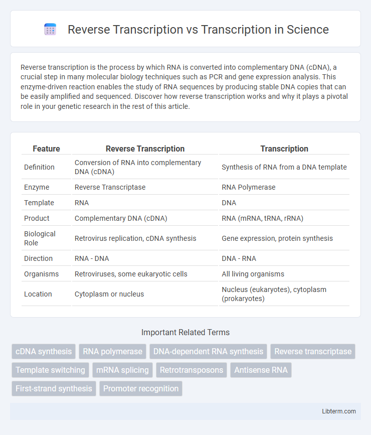 Transcription vs Reverse Transcription in Science - What is The Difference?