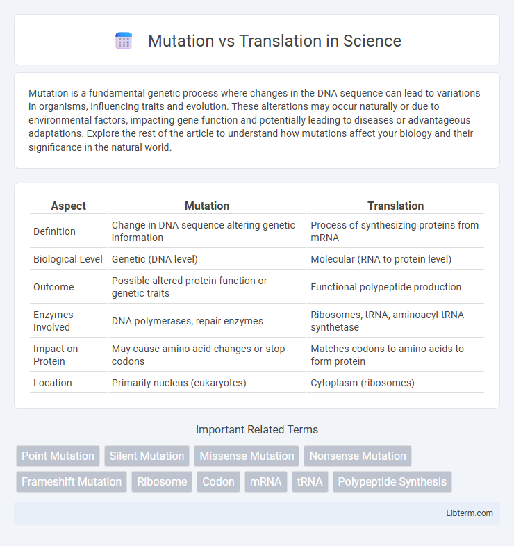Translation vs Mutation in Science - What is The Difference?