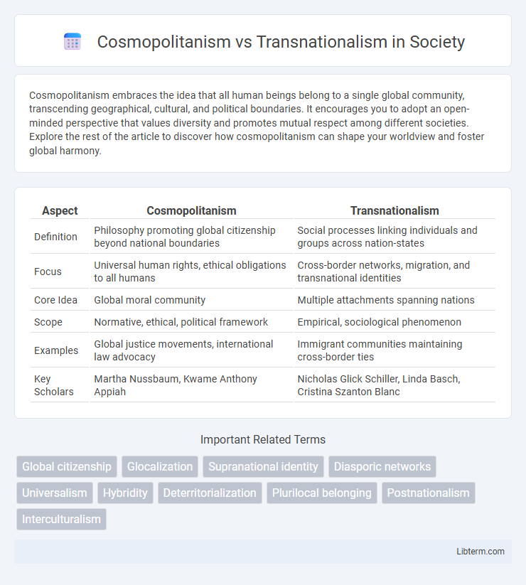 Transnationalism vs Cosmopolitanism in Society - What is The Difference?
