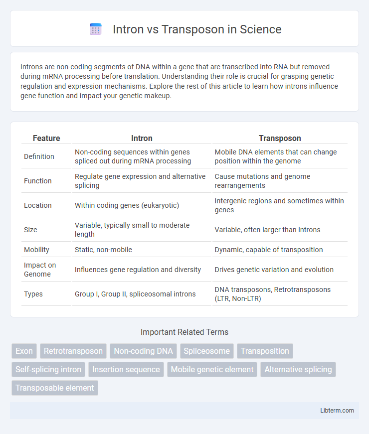 Transposon vs Intron in Science - What is The Difference?