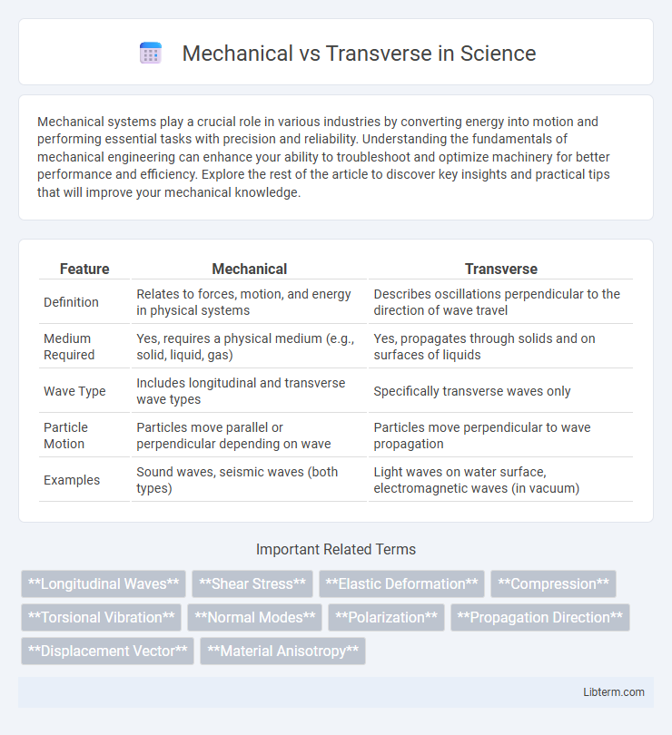 Transverse vs Mechanical in Science - What is The Difference?