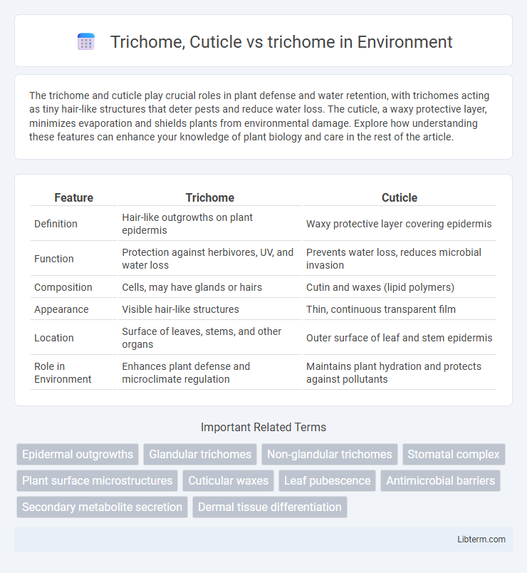 trichome vs Trichome, Cuticle in Environment - What is The Difference?