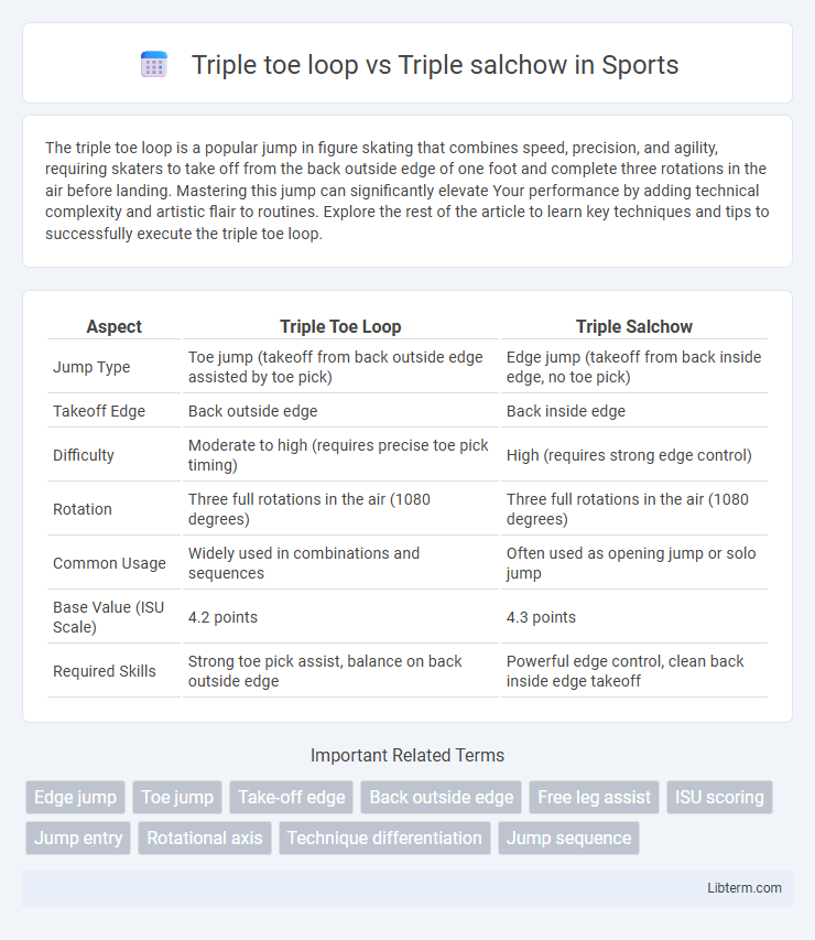 Triple salchow vs Triple toe loop in Sports - What is The Difference?