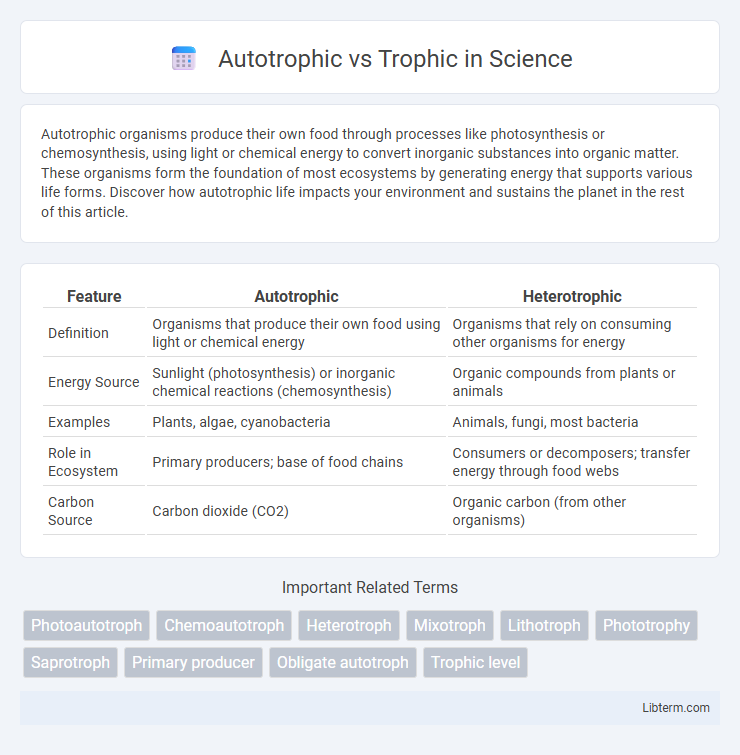 Trophic vs Autotrophic in Science - What is The Difference?