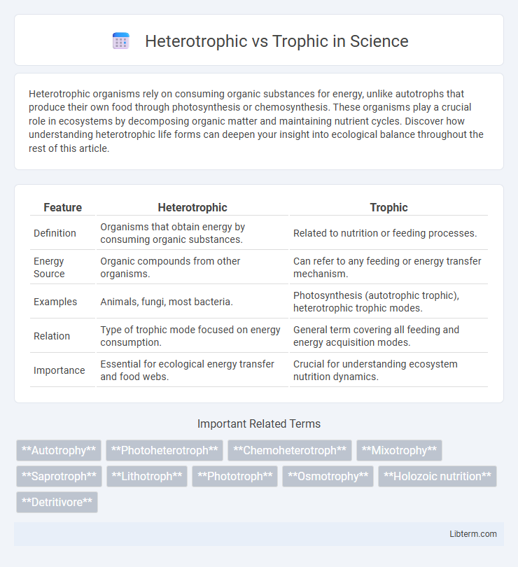 Trophic vs Heterotrophic in Science - What is The Difference?