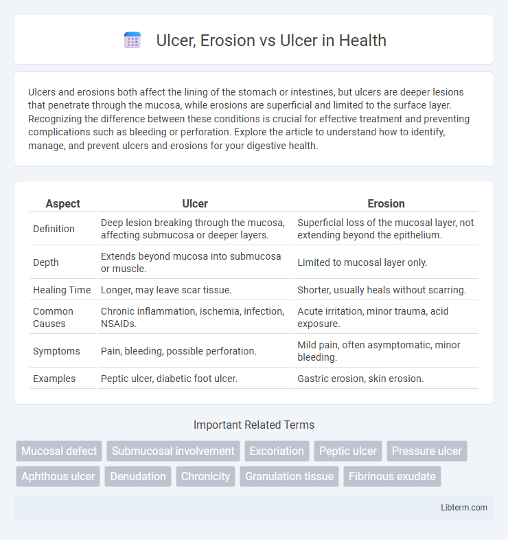 Ulcer vs Ulcer, Erosion in Health - What is The Difference?
