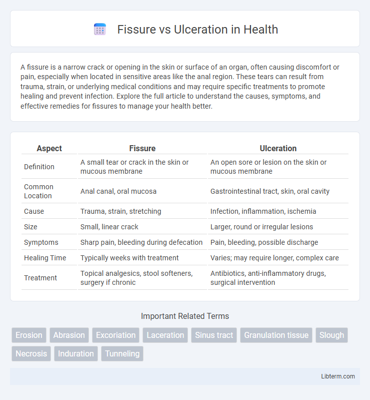 Ulceration vs Fissure in Health - What is The Difference?