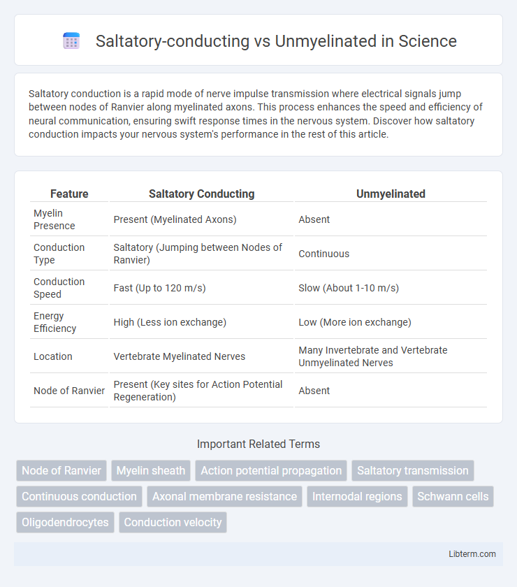 Unmyelinated vs Saltatory-conducting in Science - What is The Difference?